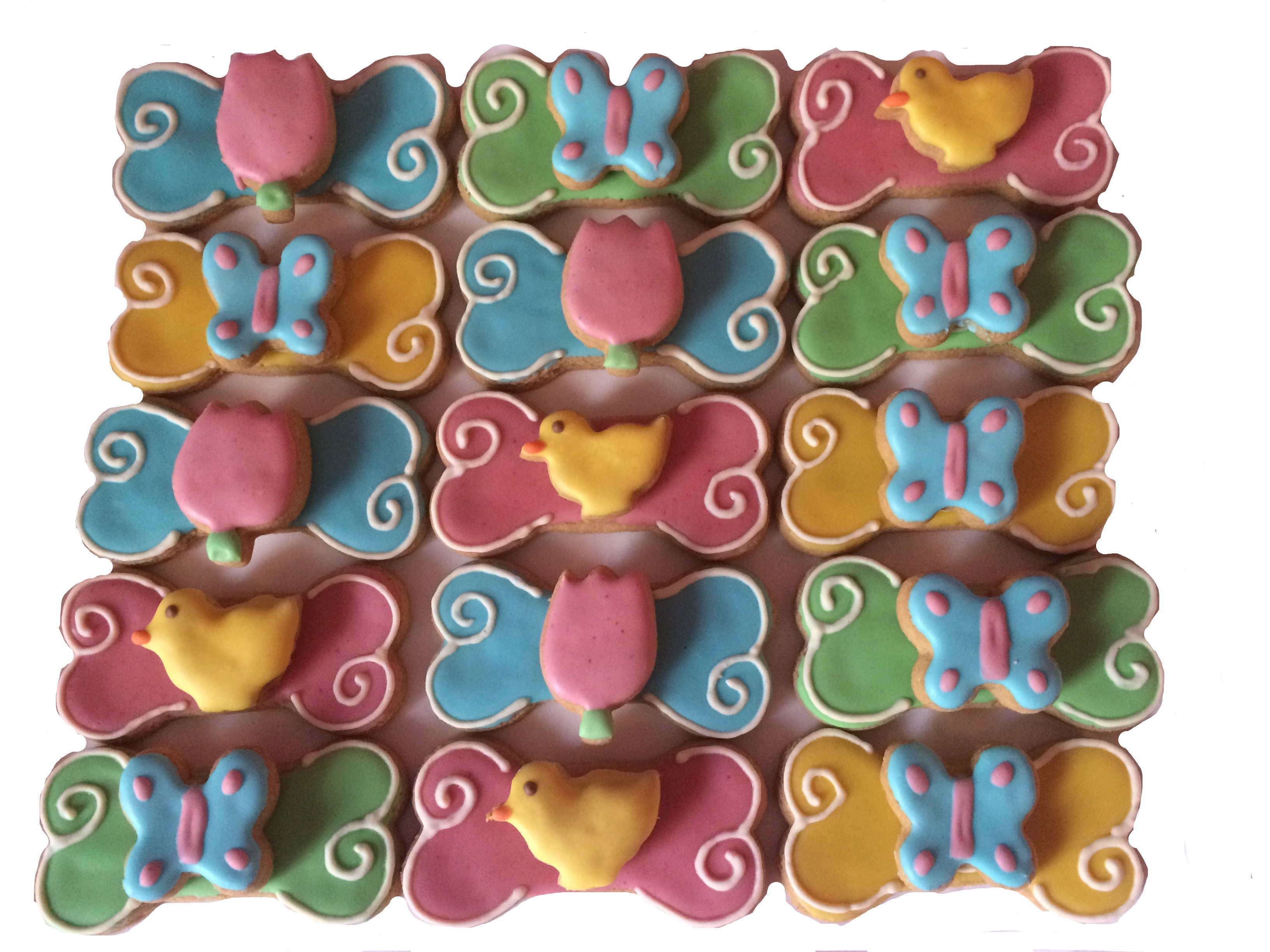 Spring 3D Bones (Qty 12)